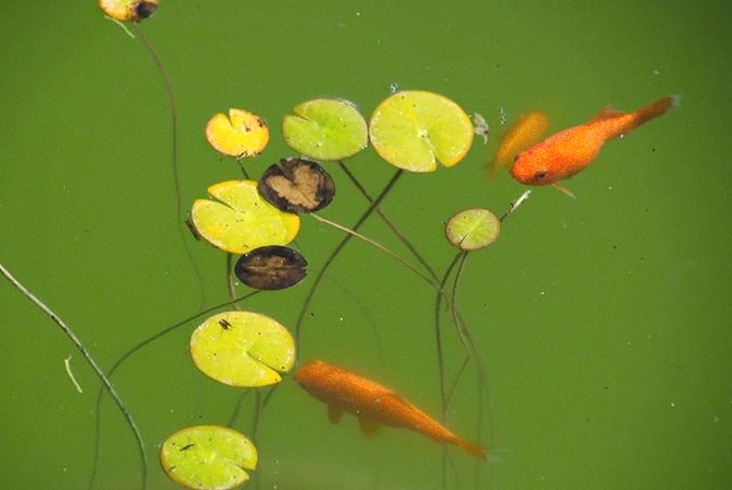 励志30句：心怀热爱，奔赴山海